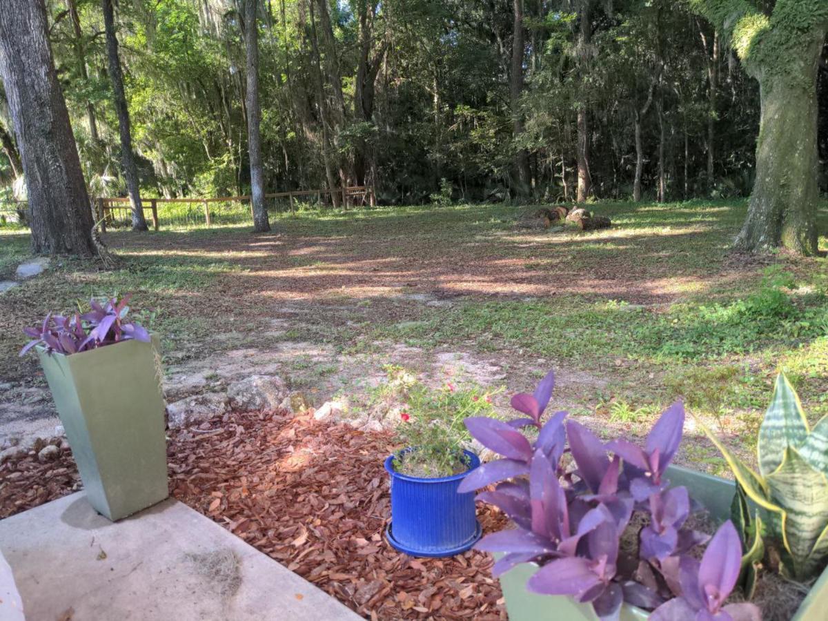 Micanopy Countyline Cottages 外观 照片